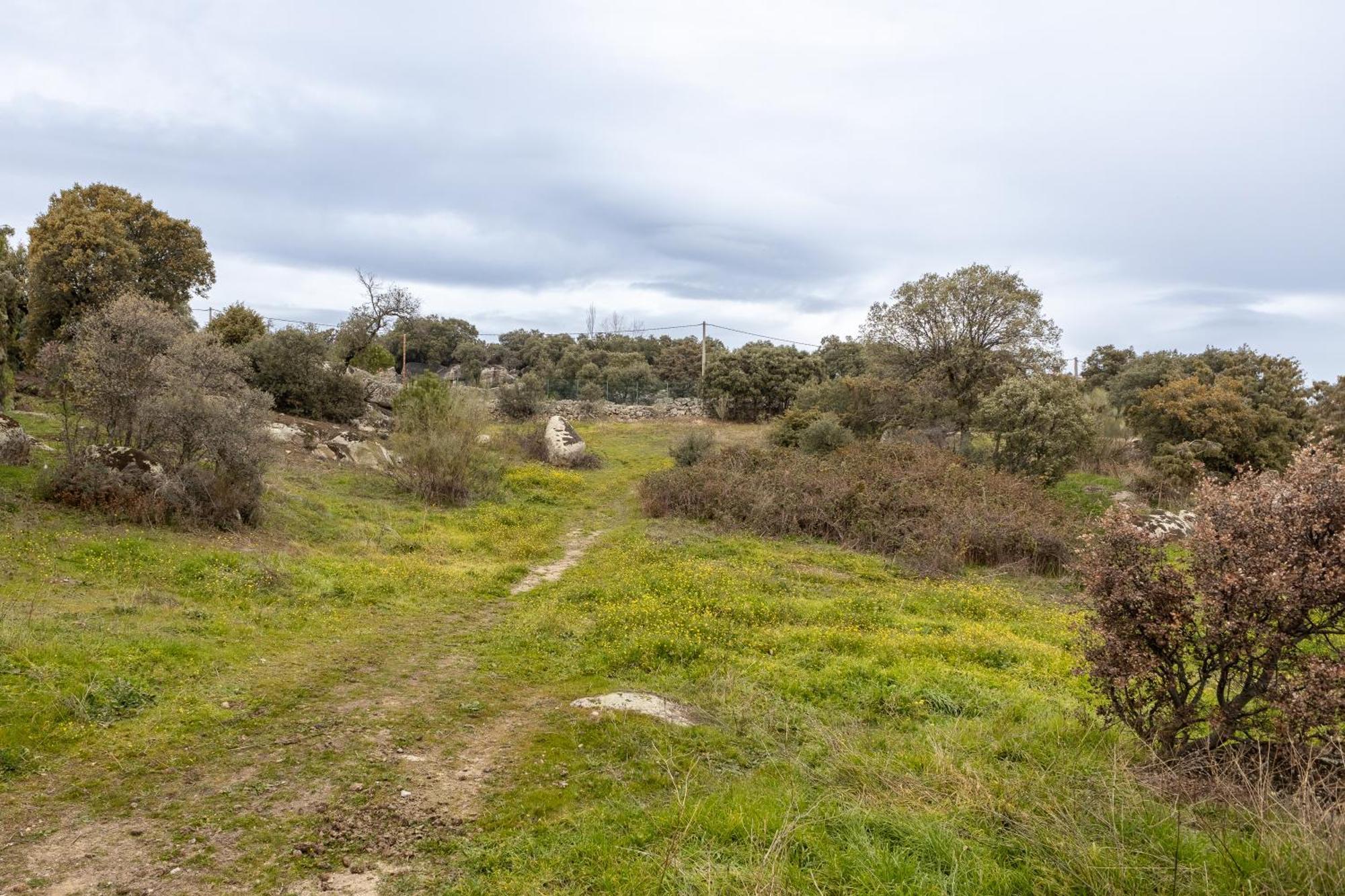 Finca El Olivo De Fresnedillas Fresnedillas de la Oliva Dış mekan fotoğraf