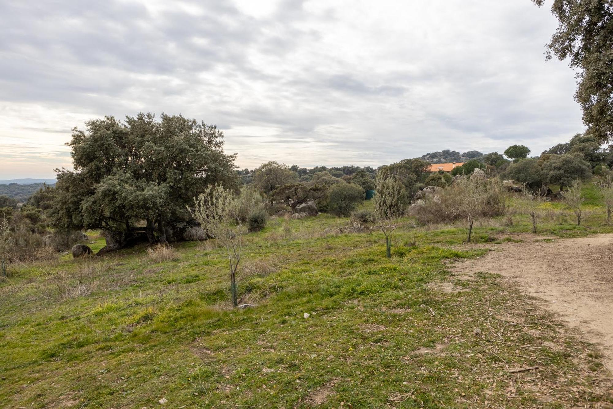 Finca El Olivo De Fresnedillas Fresnedillas de la Oliva Dış mekan fotoğraf